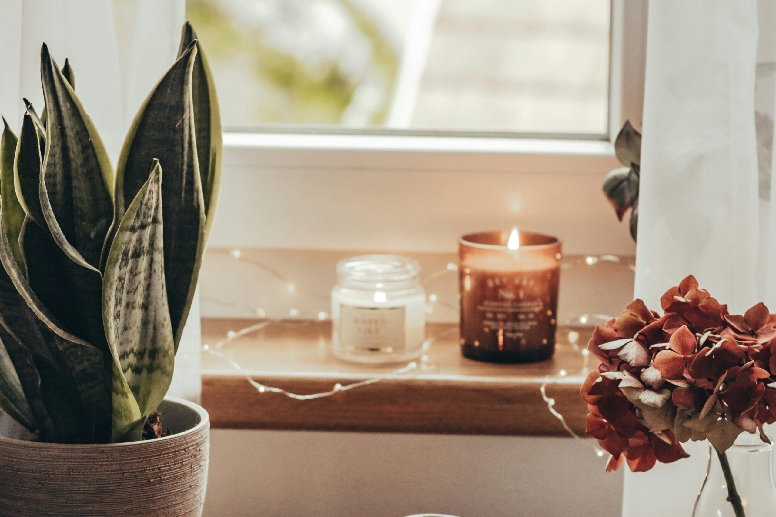 10 Cozy Home Habits for a Calmer Everyday Life